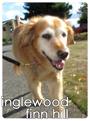 Dog Walkers Inglewood-Finn Hill