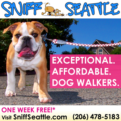 SNIFF Seattle Dog Walkers Seattle Bellevue Dog Walking Pet Sitting