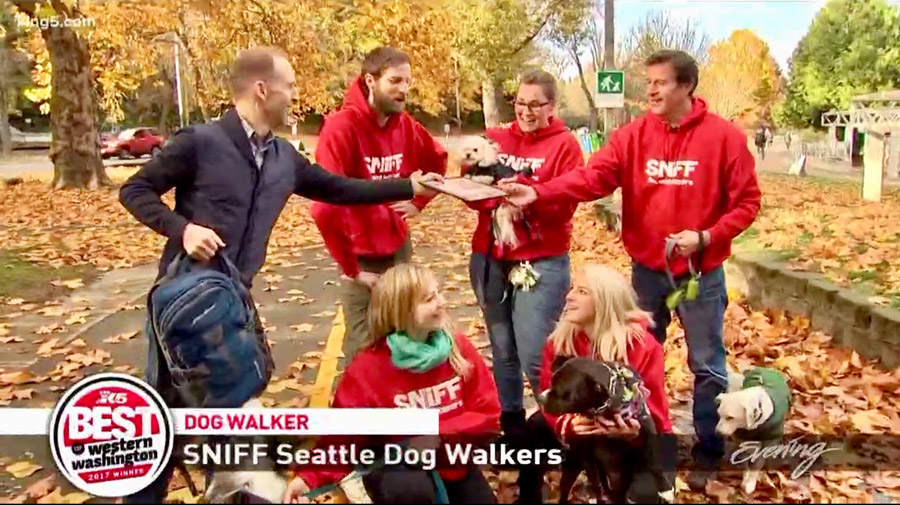 SNIFF Named Best Dog Walker, Best Of Western Washington