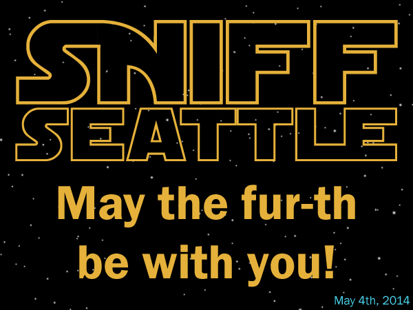 May The Fourth, Star Wars, May The Fur-th Be With You!