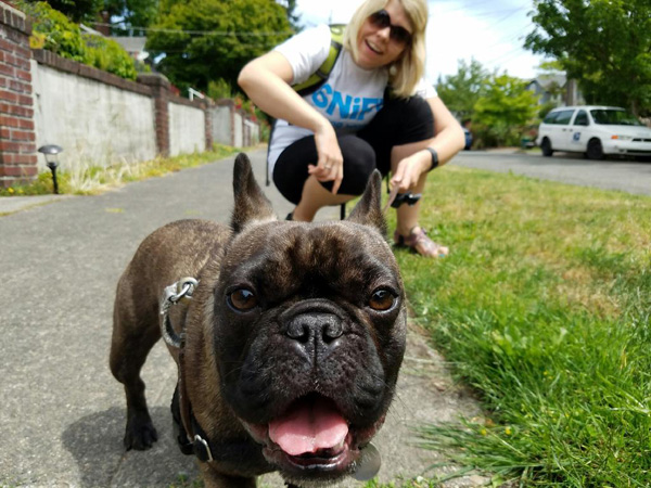 Penny The French Bulldog And Christine From SNIFF