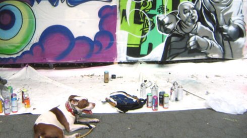 Sniff Seattle Dog Walkers, Top Five Rappers With Dog Names