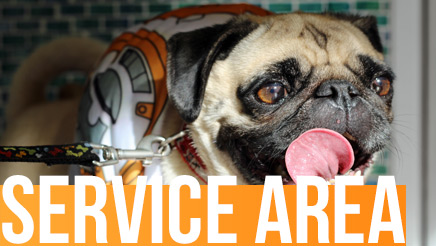 Map Where Sniff Seattle Walks Dogs