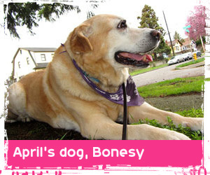 Sniff Seattle review from April L.