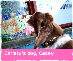 Sniff Seattle review from Christy H.