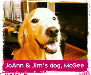 Sniff Seattle review from JoAnn and Jim