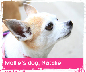 Sniff Seattle review from Mollie B.></a>

<td width=