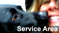 Best Of Western Washington BEST Dog Walker