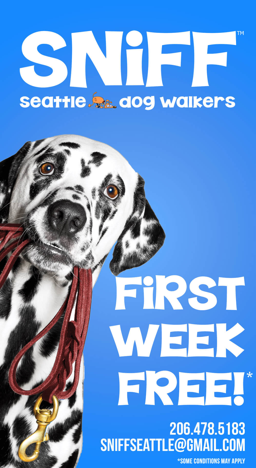 SNIFF Seattle Dog Walkers Voted Best Dog Walker 6 Years In A Row